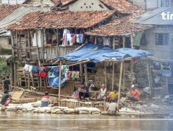 Peran Sektor Pertanian dalam Menjadi Penyumbang Penduduk Miskin Terbanyak