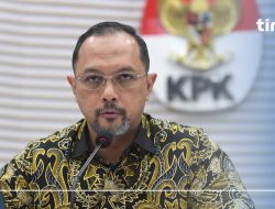 KPK Menolak Penyelidikan Kasus Pagar Laut Seperti Kejagung