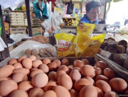 Pedagang Berharap Harga Telur Ayam Ras Tetap Stabil di Natal 2024: Okezone Economy