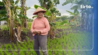 Mengolah Lahan Terbatas: Kisah Petani di Surabaya