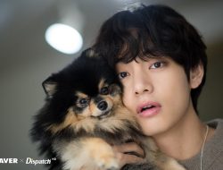 ARMY Berduka atas Kehilangan Anjing Kesayangan V BTS