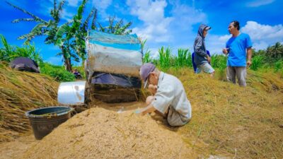 16 Daerah dengan Harga Gabah di Bawah HPP, Ada yang Rp4.900 per Kg! Bulog Wajib Serap di Harga Rp6.500 : Ekonomi Okezone