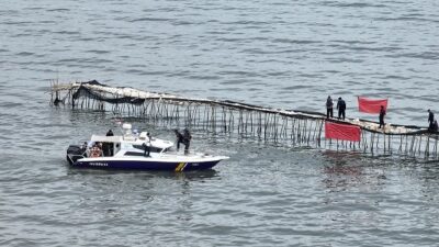 Jarak 30,1 Km Pagar Laut Diklaim Sebagai Bonus Nelayan dalam Panen Kerang Hijau