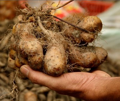 Mengenal Gembili, Umbi Lokal Penyokong Ketahanan Pangan yang Bisa Membuat Anda Lupakan Nasi