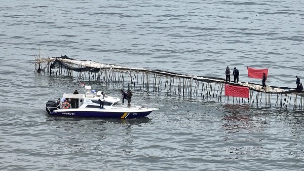 Nelayan Siap Bongkar Pagar Laut 30,1 Km yang Dibangun Swadaya