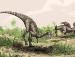 Evolution of Dinosaurs: Saat dan Tempat Pertama Kali Dinosaurus Berevolusi