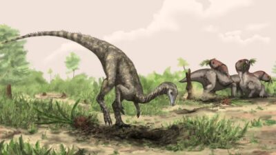 Evolution of Dinosaurs: Saat dan Tempat Pertama Kali Dinosaurus Berevolusi