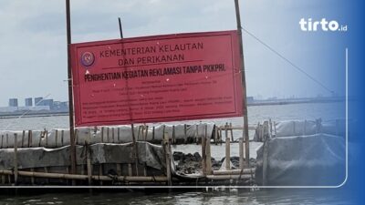 PT TRPN Mengaku Melakukan Pelanggaran Terkait Pagar Laut di Bekasi